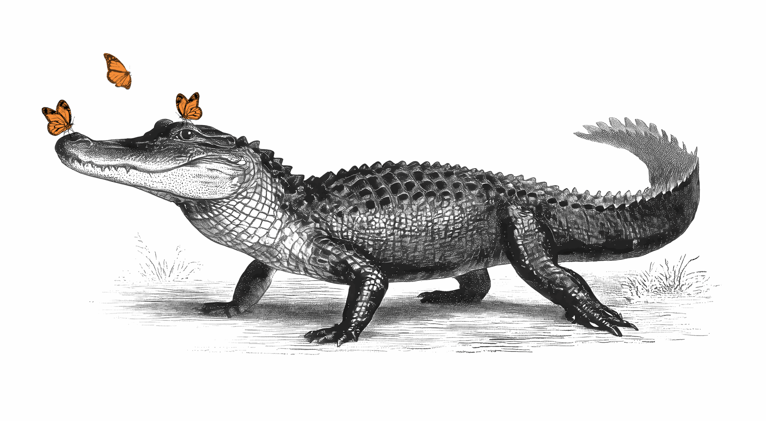 florida room alligator icon