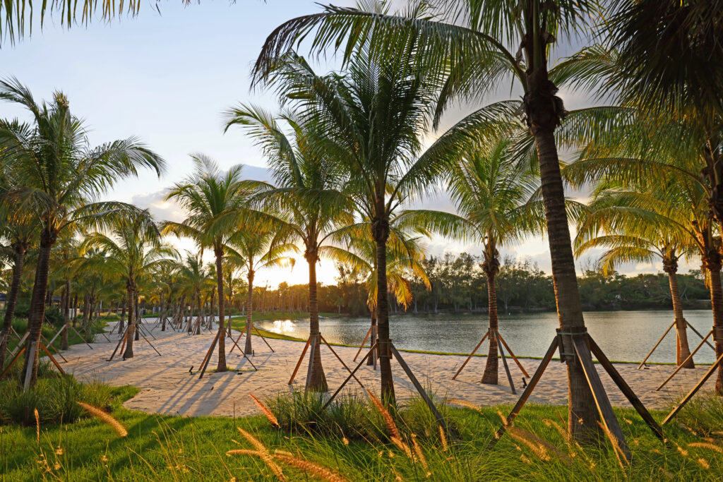 Lakeside palm tree view at Florida Room Fort Lauderdale with lakeside dining setting