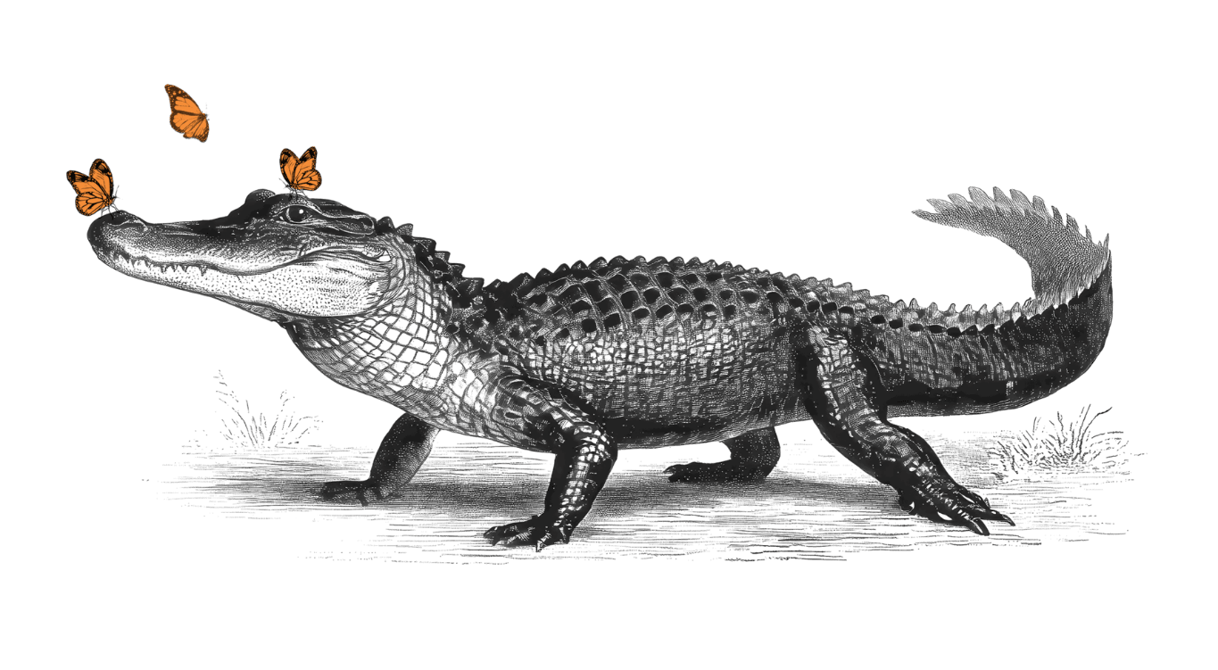 Vintage alligator illustration with butterflies for Florida Room branding