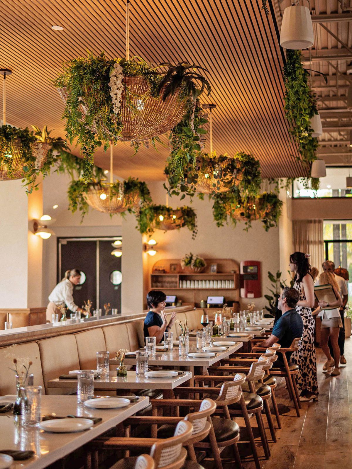 Dining room interior at Florida Room with hanging greenery and warm lighting