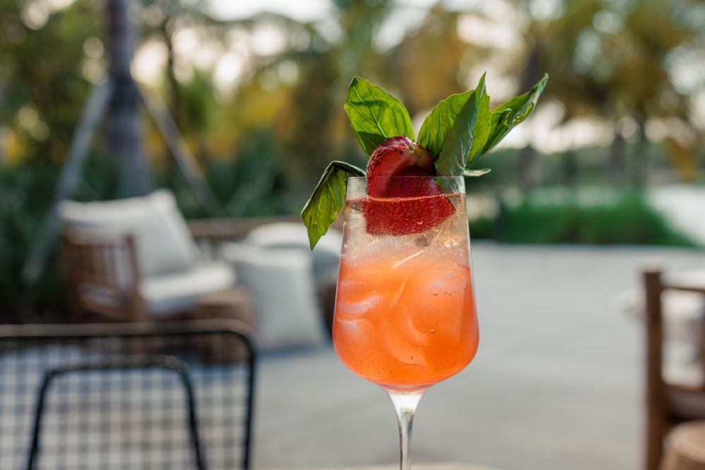 Light and bubbly summer cocktail with fresh fruit and herbs at Florida Room.